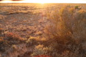 #5: Confluence and view West against the sun