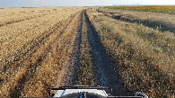 #9: dirt roads towards to and back from confluence point