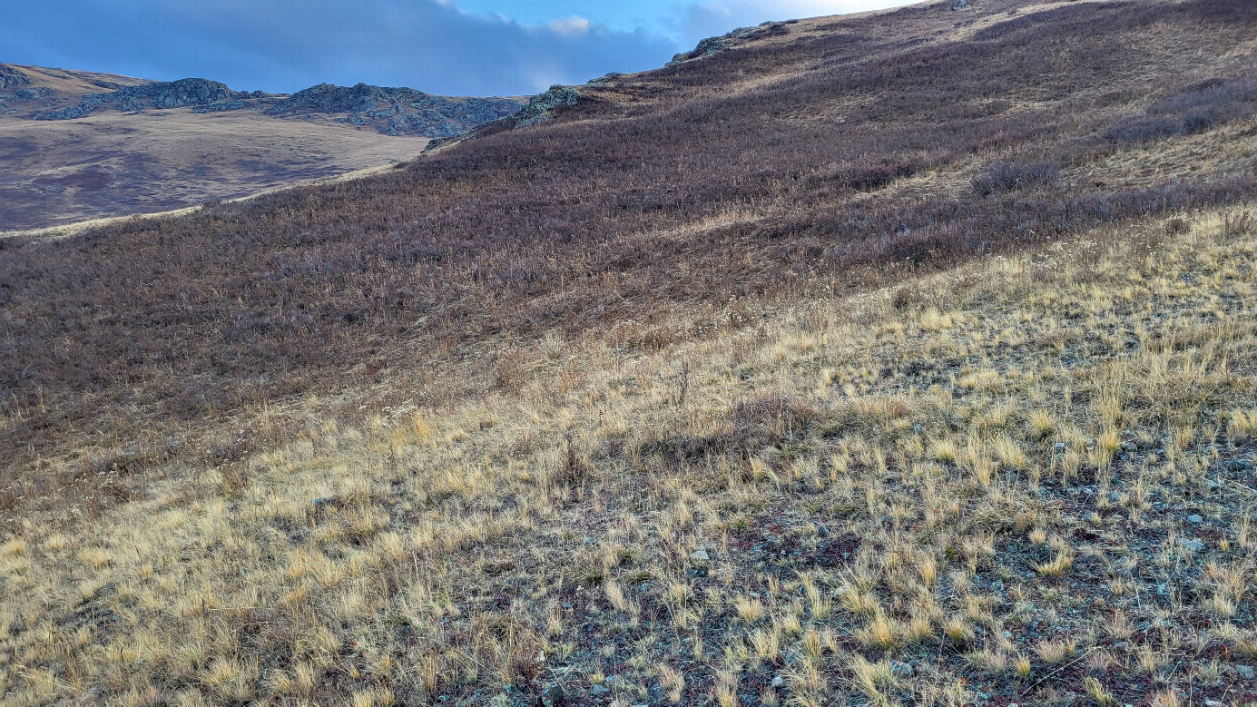 Looking south / На юг