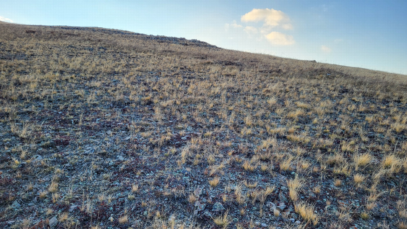 Looking west / На запад