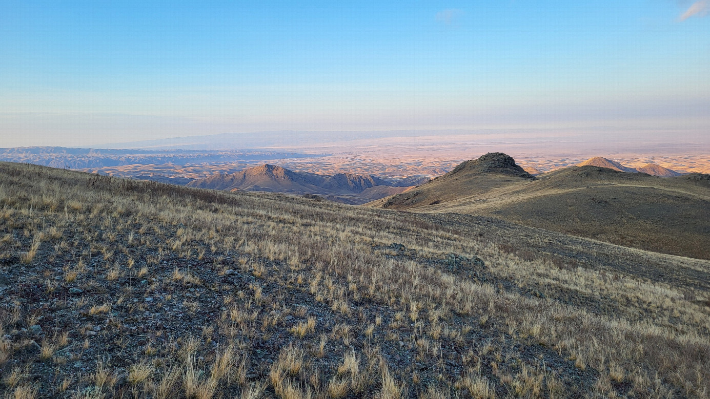 Looking north / На север