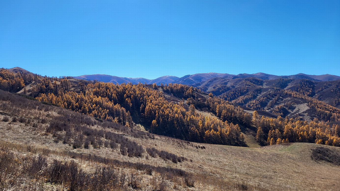 Looking south / На юг