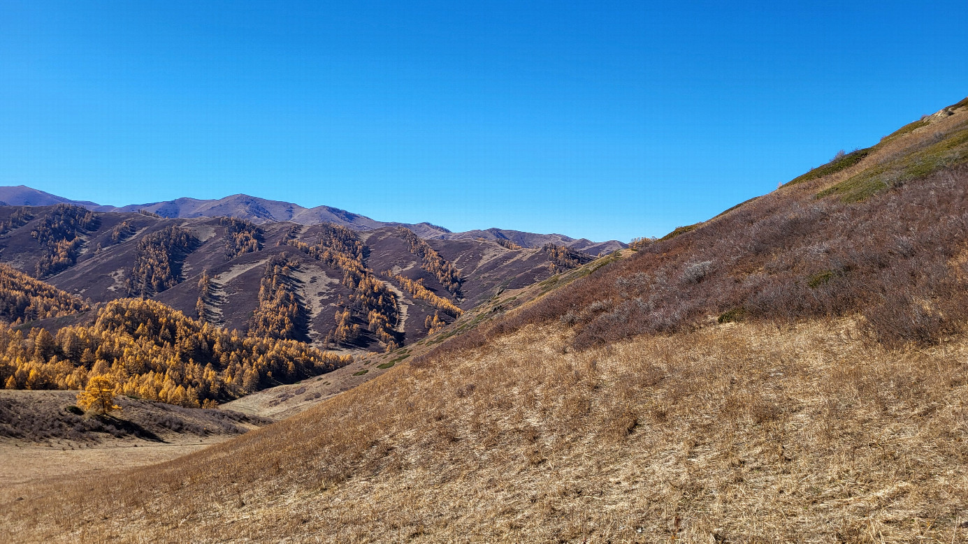 Looking west / На запад