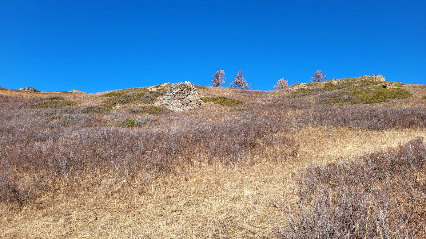Looking north / На север