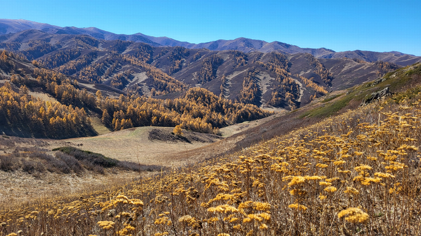 Golden Fall in the mountains / Золотая осень в горах
