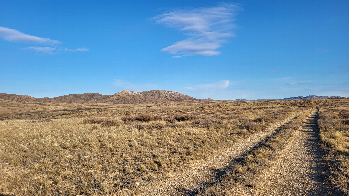 Полевая дорога / Field road