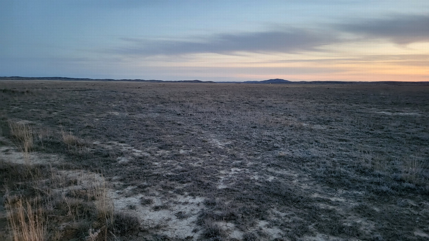 Юг / South