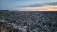#4: Юг / South