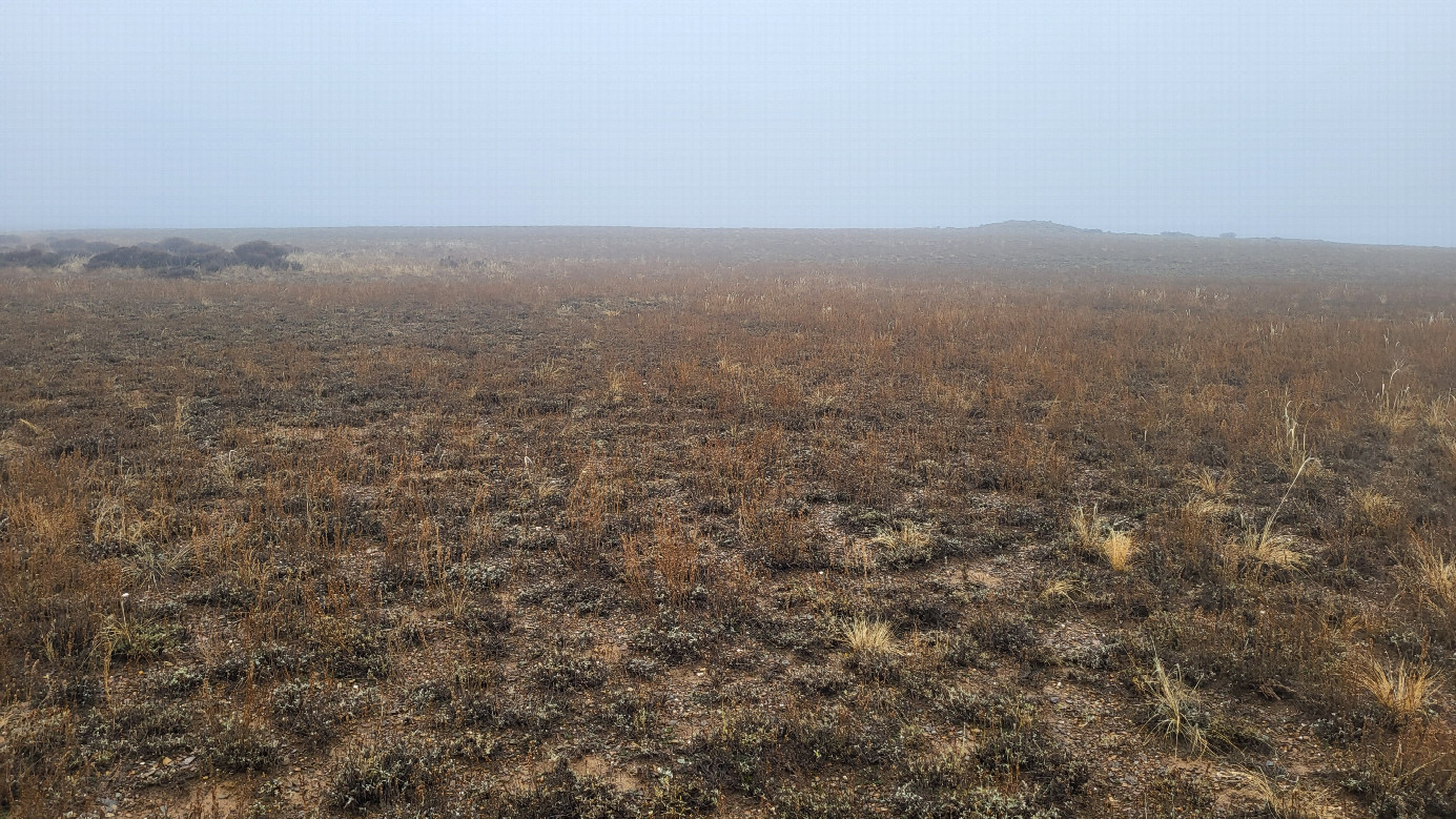 Местный пейзаж / Local landscape