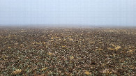 #2: Юг / South