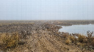 #8: Запруда / Dam