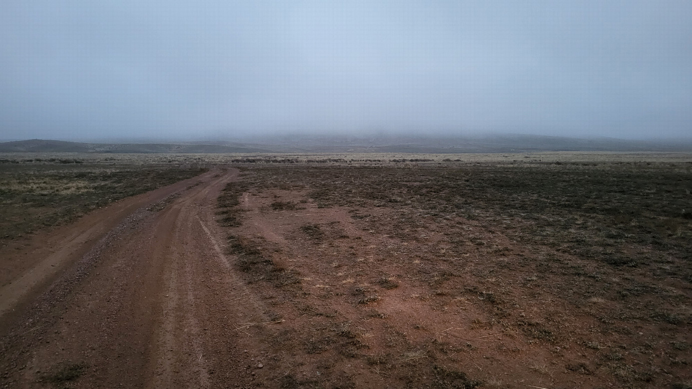 Местный пейзаж / Local landscape