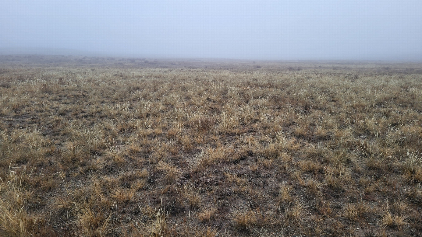 Запад / West