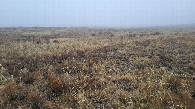 #2: Юг / South