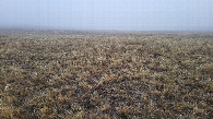 #3: Запад / West