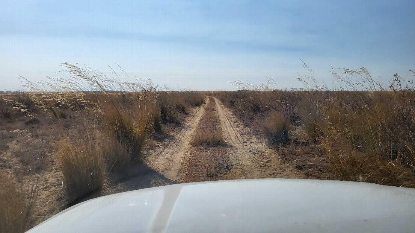 Field road / Полевая дорога