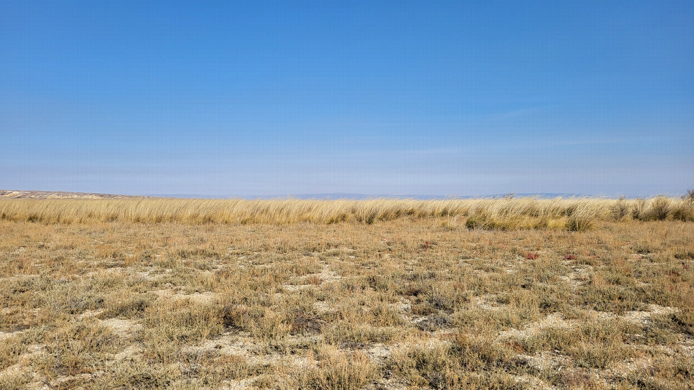 Looking north / На север