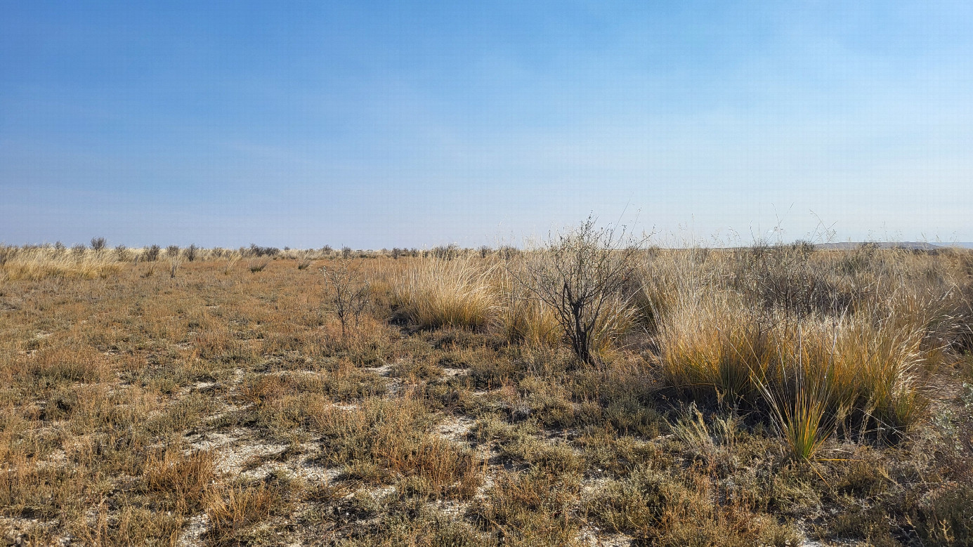 Looking east / На восток