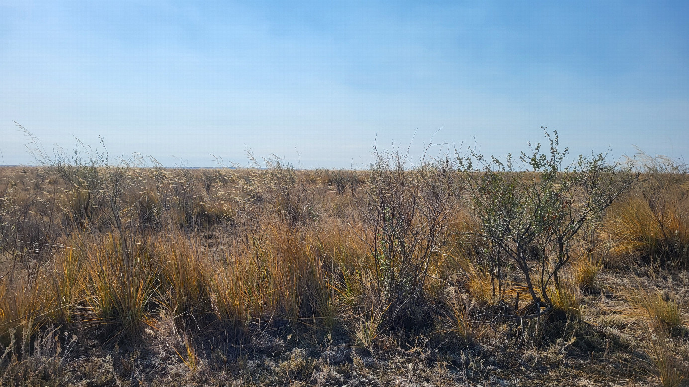 Looking south / На юг