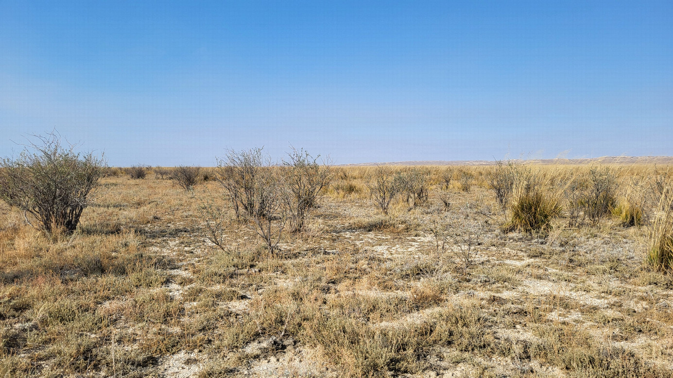 Looking west / На запад