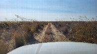 #10: Field road / Полевая дорога
