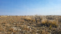 #2: Looking east / На восток