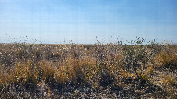 #3: Looking south / На юг
