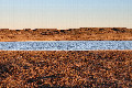 49&deg;N 72&deg;E preview image