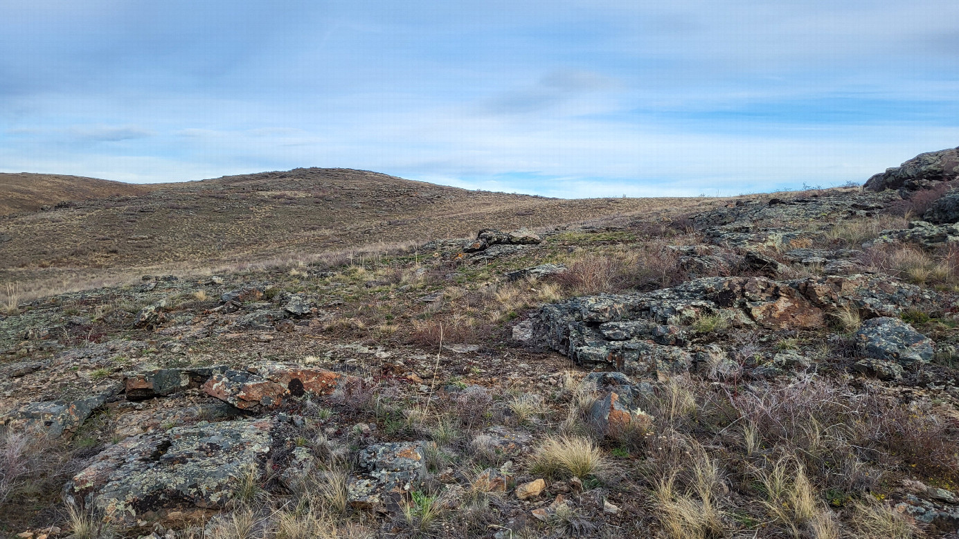 Север / North