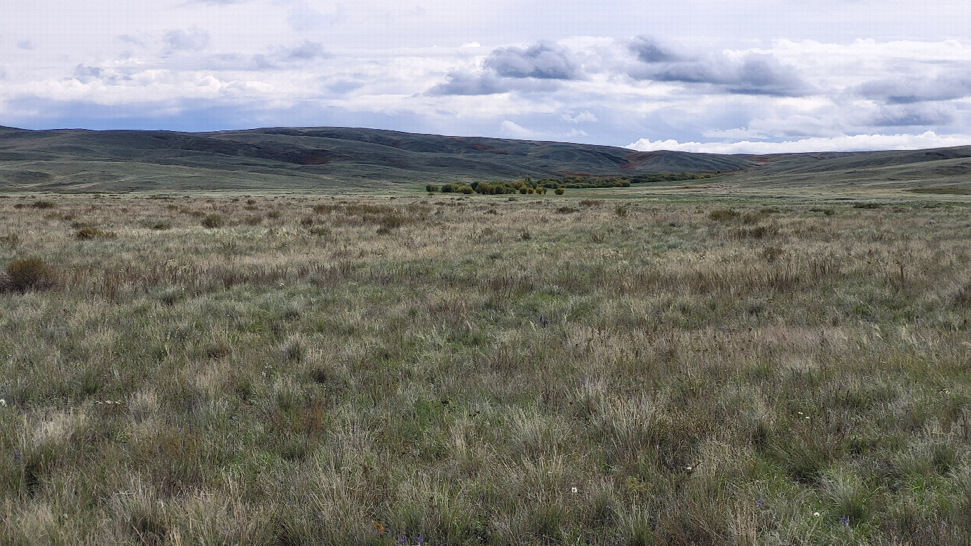 Юг / South