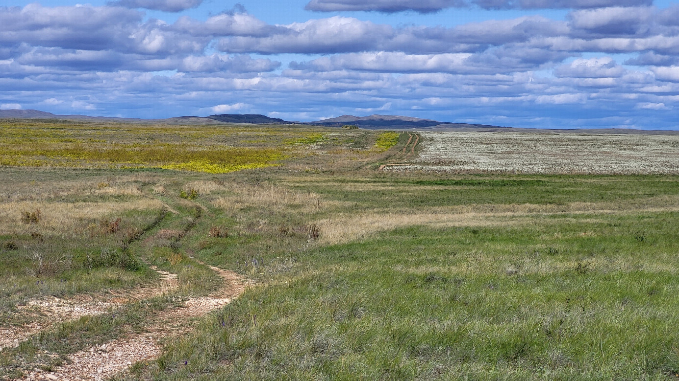 Полевая дорога к пересечению / Field dirt road towards CP