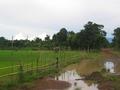 #2: Road to the Village Ban Houay Namphak