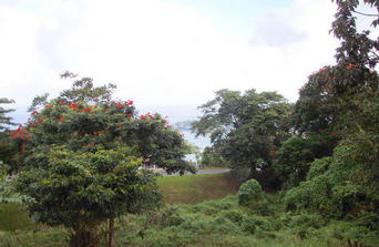 #1: Looking NE towards the coast and Castries. The confluence is a few yards in front of the camera, down the slope.