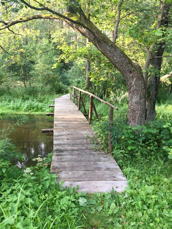 A footbridge over the Ratnyčia creek, about 200 m south of the point