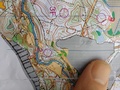 #7: Orienteering Map