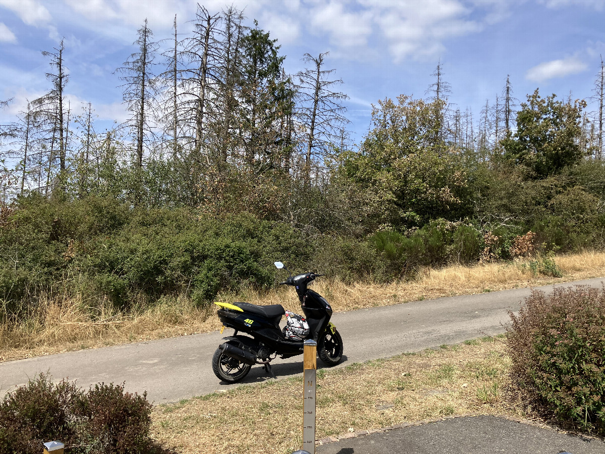 North