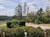 #4: West