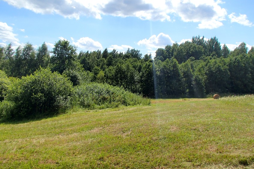 View to the south / Вид на юг