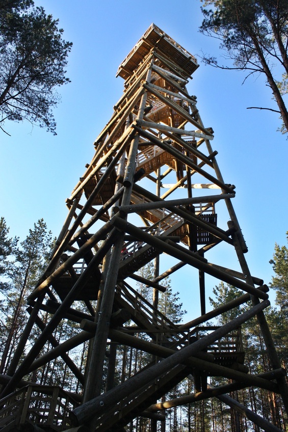 The tower / Вышка