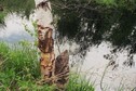 #6: traces of the local beavers