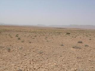 #1: General view of the area