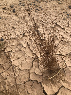 #6: Am CP - Close-up of the CP