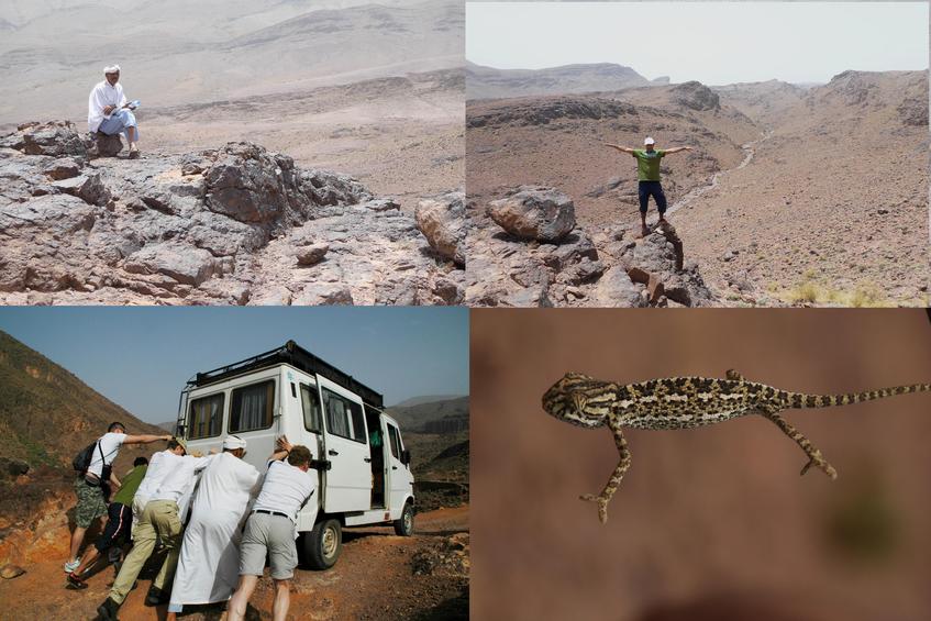 Our guide, Moustafa, our truck, and a gecko