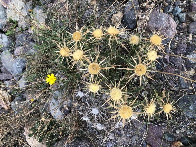 Beim CP - Close to the CP