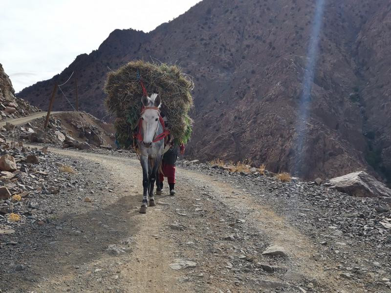 Piste zum Dorf - Track to the village