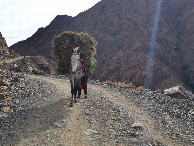 #7: Piste zum Dorf - Track to the village