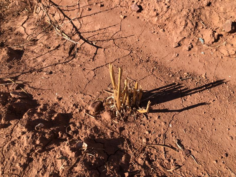 Am CP - Area at the CP