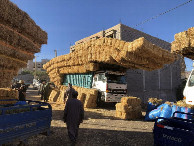 #8: Ein Markt - A market