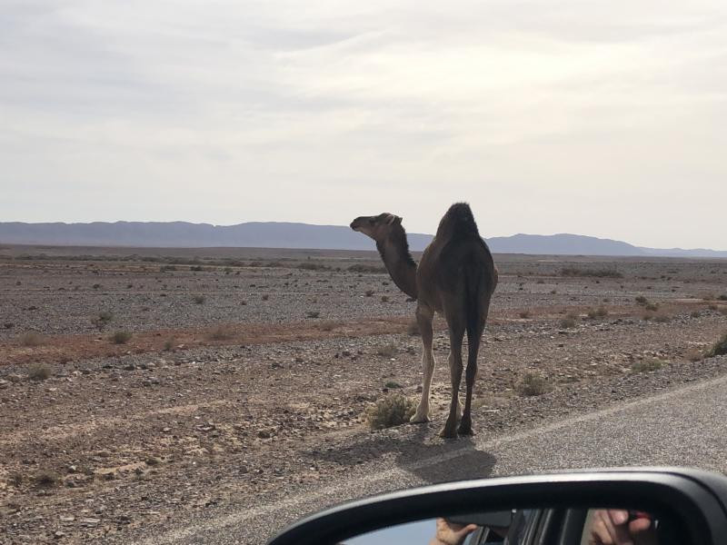 Nahe des CP - Not far from the CP