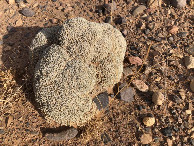 #6: Am CP - Close-up of the CP